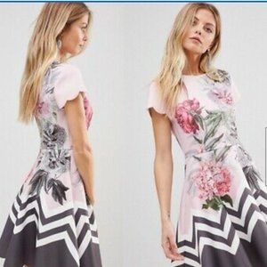 Ted Baker Haiilie Palace Gardens Skater Dress